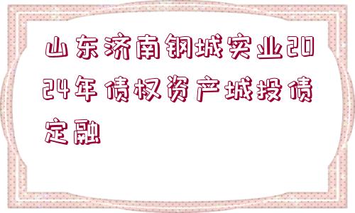 山東濟(jì)南鋼城實業(yè)2024年債權(quán)資產(chǎn)城投債定融