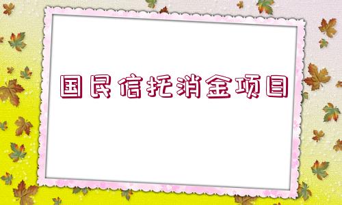 國民信托消金項目