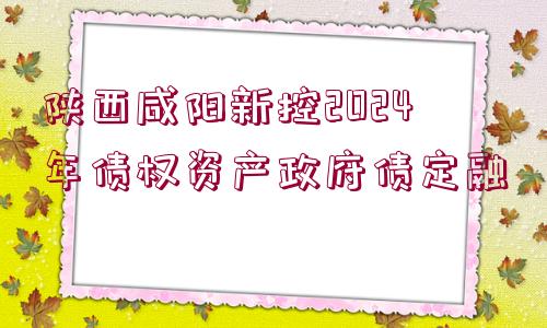 陜西咸陽(yáng)新控2024年債權(quán)資產(chǎn)政府債定融