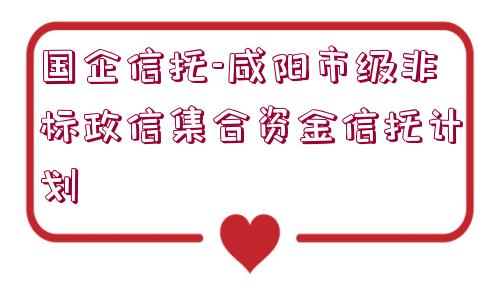 國企信托-咸陽市級非標(biāo)政信集合資金信托計(jì)劃