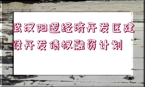 武漢陽邏經濟開發(fā)區(qū)建設開發(fā)債權融資計劃