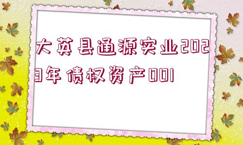 大英縣通源實業(yè)2023年債權(quán)資產(chǎn)001