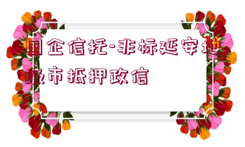 國企信托-非標延安地級市抵押政信