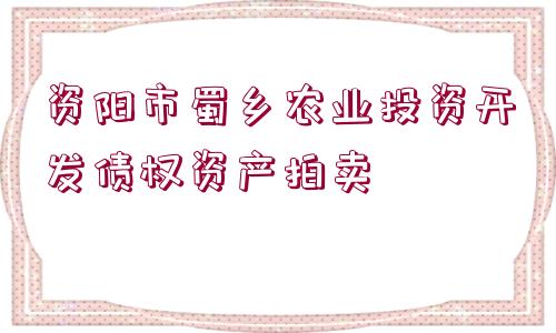 資陽市蜀鄉(xiāng)農(nóng)業(yè)投資開發(fā)債權(quán)資產(chǎn)拍賣