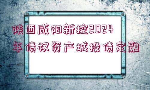 陜西咸陽新控2024年債權(quán)資產(chǎn)城投債定融