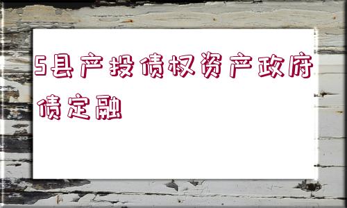 S縣產(chǎn)投債權(quán)資產(chǎn)政府債定融