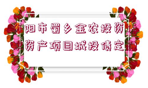 資陽(yáng)市蜀鄉(xiāng)金農(nóng)投資債權(quán)資產(chǎn)項(xiàng)目城投債定融