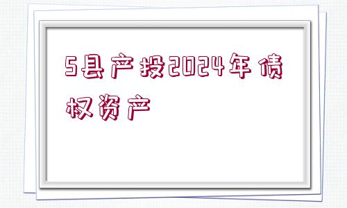 S縣產投2024年債權資產