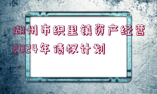 湖州市織里鎮(zhèn)資產(chǎn)經(jīng)營2024年債權(quán)計(jì)劃