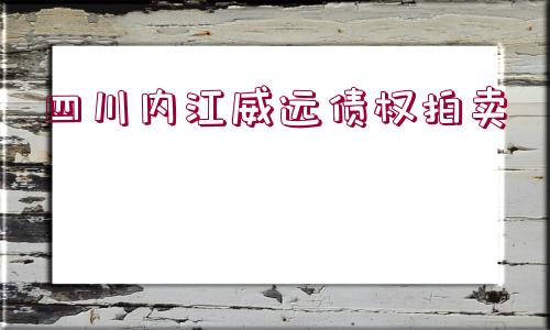 四川內(nèi)江威遠(yuǎn)債權(quán)拍賣 