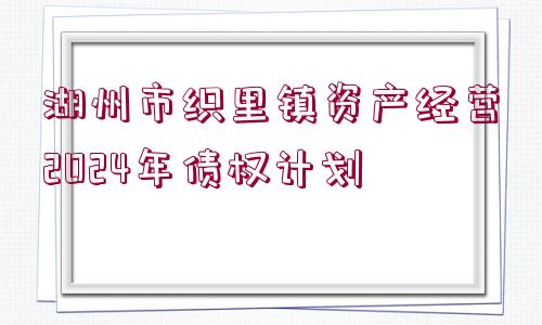 湖州市織里鎮(zhèn)資產(chǎn)經(jīng)營2024年債權(quán)計劃