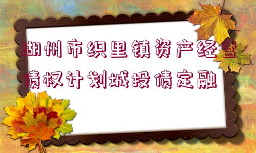 湖州市織里鎮(zhèn)資產(chǎn)經(jīng)營債權(quán)計(jì)劃城投債定融