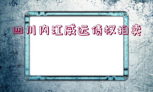 四川內(nèi)江威遠(yuǎn)債權(quán)拍賣 