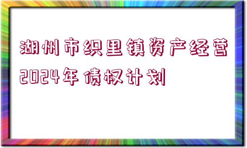 湖州市織里鎮(zhèn)資產(chǎn)經(jīng)營2024年債權計劃