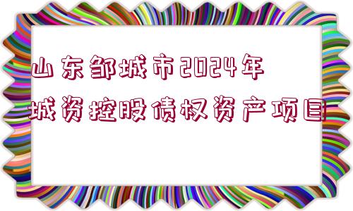 山東鄒城市2024年城資控股債權(quán)資產(chǎn)項(xiàng)目