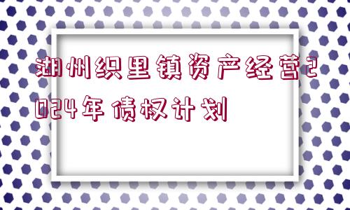 湖州織里鎮(zhèn)資產(chǎn)經(jīng)營2024年債權(quán)計劃