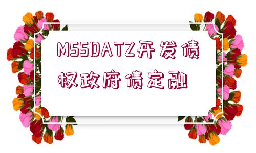 MSSDATZ開發(fā)債權(quán)政府債定融