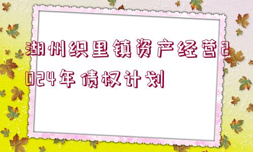 湖州織里鎮(zhèn)資產(chǎn)經(jīng)營2024年債權(quán)計(jì)劃