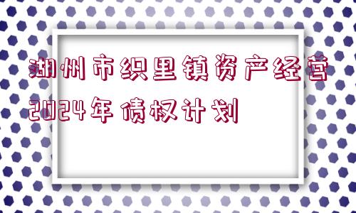 湖州市織里鎮(zhèn)資產(chǎn)經(jīng)營(yíng)2024年債權(quán)計(jì)劃