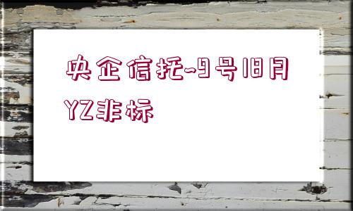 央企信托~9號(hào)18月YZ非標(biāo)