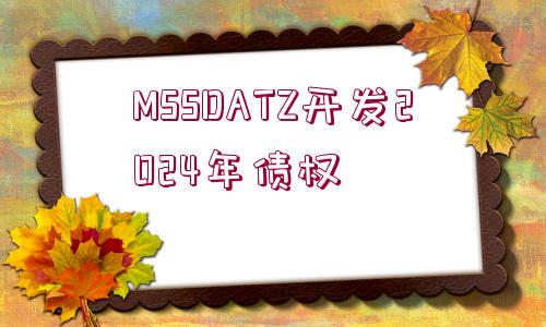 MSSDATZ開發(fā)2024年債權(quán)