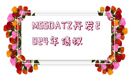 MSSDATZ開發(fā)2024年債權(quán)