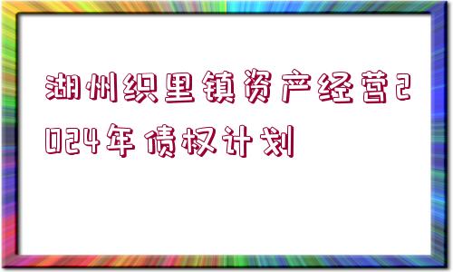 湖州織里鎮(zhèn)資產(chǎn)經(jīng)營2024年債權(quán)計(jì)劃