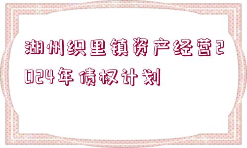 湖州織里鎮(zhèn)資產(chǎn)經(jīng)營2024年債權計劃