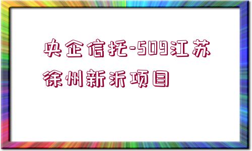 央企信托-509江蘇徐州新沂項目