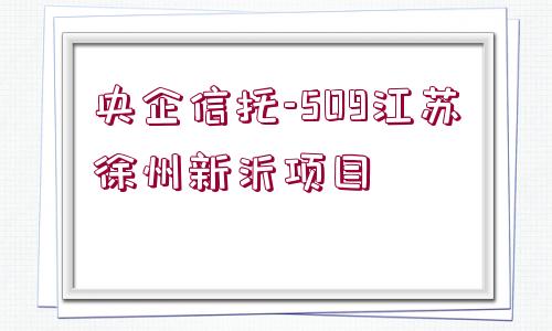 央企信托-509江蘇徐州新沂項目