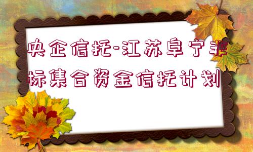 央企信托-江蘇阜寧非標(biāo)集合資金信托計劃