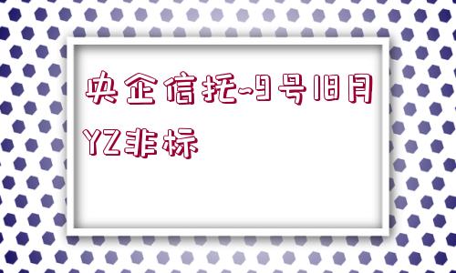 央企信托~9號18月YZ非標(biāo)