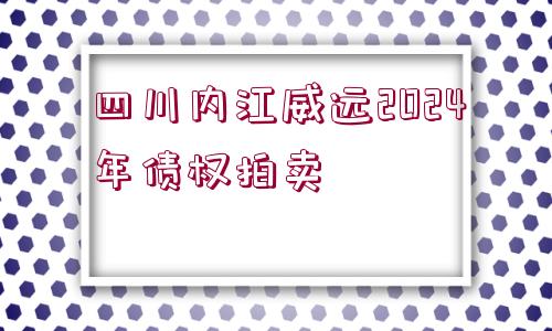 四川內(nèi)江威遠2024年債權(quán)拍賣