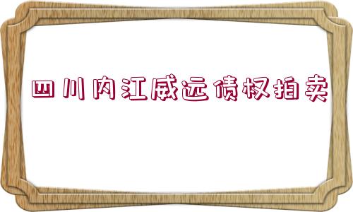 四川內江威遠債權拍賣