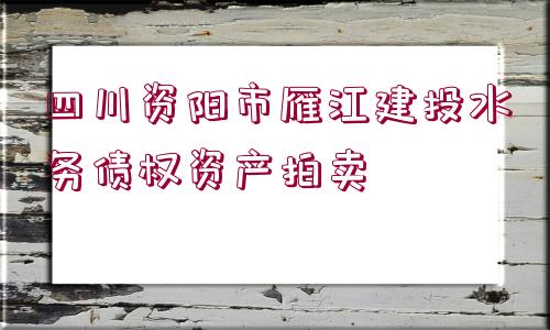 四川資陽市雁江建投水務債權資產拍賣