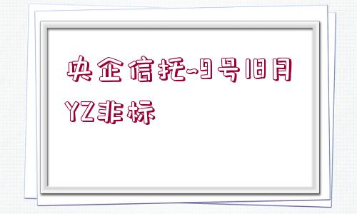 央企信托~9號(hào)18月YZ非標(biāo)