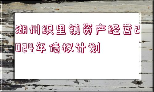 湖州織里鎮(zhèn)資產(chǎn)經(jīng)營2024年債權(quán)計劃