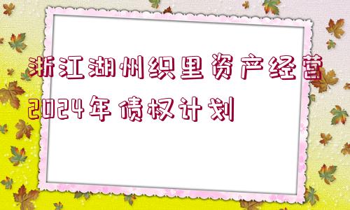 浙江湖州織里資產經營2024年債權計劃