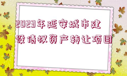 2023年延安城市建設債權(quán)資產(chǎn)轉(zhuǎn)讓項目