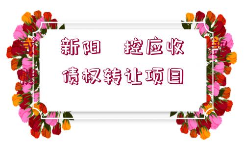 咸?新陽(yáng)?控應(yīng)收?款賬?債權(quán)轉(zhuǎn)讓項(xiàng)目