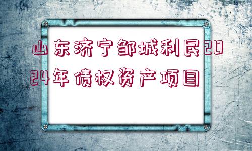 山東濟寧鄒城利民2024年債權(quán)資產(chǎn)項目