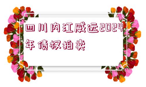 四川內(nèi)江威遠2024年債權拍賣