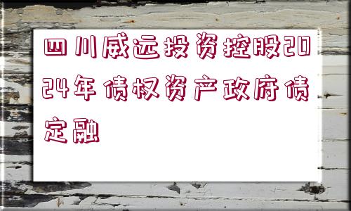 四川威遠投資控股2024年債權資產政府債定融