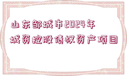 山東鄒城市2024年城資控股債權(quán)資產(chǎn)項目