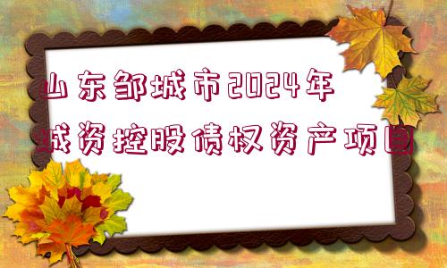 山東鄒城市2024年城資控股債權(quán)資產(chǎn)項(xiàng)目