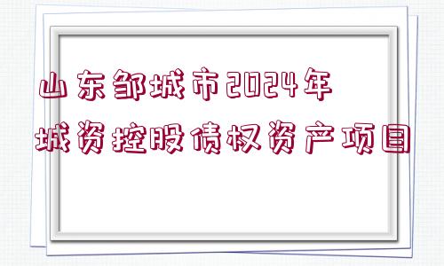 山東鄒城市2024年城資控股債權(quán)資產(chǎn)項(xiàng)目