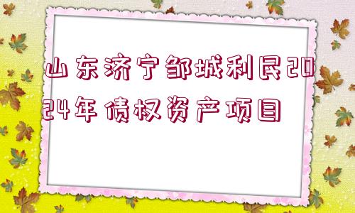 山東濟寧鄒城利民2024年債權資產項目