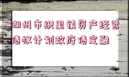 湖州市織里鎮(zhèn)資產經營債權計劃政府債定融