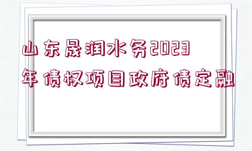 山東晟潤(rùn)水務(wù)2023年債權(quán)項(xiàng)目政府債定融