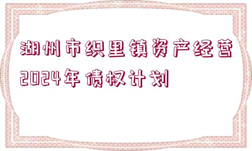 湖州市織里鎮(zhèn)資產(chǎn)經(jīng)營(yíng)2024年債權(quán)計(jì)劃